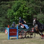 III Mistrzostwa Kaszub W Powożeniu Zaprzęgami Konnymi