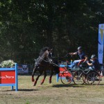 III Mistrzostwa Kaszub W Powożeniu Zaprzęgami Konnymi