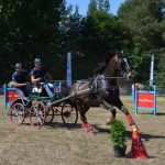 III Mistrzostwa Kaszub W Powożeniu Zaprzęgami Konnymi