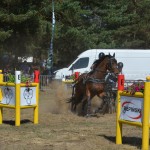 III Mistrzostwa Kaszub W Powożeniu Zaprzęgami Konnymi