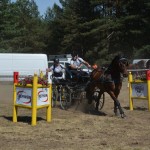 III Mistrzostwa Kaszub W Powożeniu Zaprzęgami Konnymi