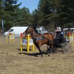 III Mistrzostwa Kaszub W Powożeniu Zaprzęgami Konnymi