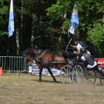 III Mistrzostwa Kaszub W Powożeniu Zaprzęgami Konnymi