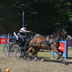 III Mistrzostwa Kaszub W Powożeniu Zaprzęgami Konnymi