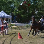 III Mistrzostwa Kaszub W Powożeniu Zaprzęgami Konnymi