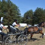 III Mistrzostwa Kaszub W Powożeniu Zaprzęgami Konnymi