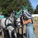 III Mistrzostwa Kaszub W Powożeniu Zaprzęgami Konnymi