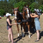 III Mistrzostwa Kaszub W Powożeniu Zaprzęgami Konnymi