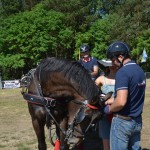 III Mistrzostwa Kaszub W Powożeniu Zaprzęgami Konnymi