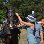 III Mistrzostwa Kaszub W Powożeniu Zaprzęgami Konnymi