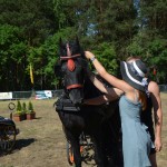 III Mistrzostwa Kaszub W Powożeniu Zaprzęgami Konnymi