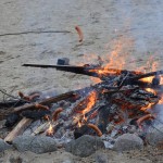 Obchody Nocy Świętojańskiej