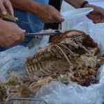 Festyn Gminno - Parafialny 2018