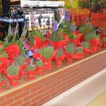 BAL EMERYTÓW I RENCISTÓW