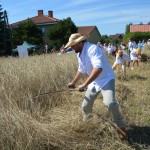IV Mistrzostwa Polski w Koszeniu Zboża Metodą Tradycyjną