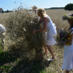 IV Mistrzostwa Polski w Koszeniu Zboża Metodą Tradycyjną