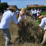 IV Mistrzostwa Polski w Koszeniu Zboża Metodą Tradycyjną