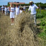 IV Mistrzostwa Polski w Koszeniu Zboża Metodą Tradycyjną