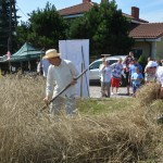 IV Mistrzostwa Polski w Koszeniu Zboża Metodą Tradycyjną