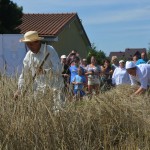 IV Mistrzostwa Polski w Koszeniu Zboża Metodą Tradycyjną