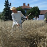 IV Mistrzostwa Polski w Koszeniu Zboża Metodą Tradycyjną