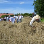 IV Mistrzostwa Polski w Koszeniu Zboża Metodą Tradycyjną