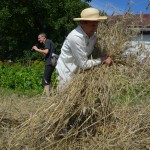 IV Mistrzostwa Polski w Koszeniu Zboża Metodą Tradycyjną