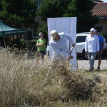 IV Mistrzostwa Polski w Koszeniu Zboża Metodą Tradycyjną
