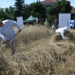 IV Mistrzostwa Polski w Koszeniu Zboża Metodą Tradycyjną