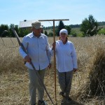 IV Mistrzostwa Polski w Koszeniu Zboża Metodą Tradycyjną