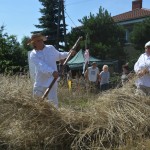 IV Mistrzostwa Polski w Koszeniu Zboża Metodą Tradycyjną