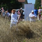 IV Mistrzostwa Polski w Koszeniu Zboża Metodą Tradycyjną