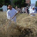 IV Mistrzostwa Polski w Koszeniu Zboża Metodą Tradycyjną