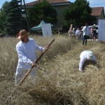 IV Mistrzostwa Polski w Koszeniu Zboża Metodą Tradycyjną