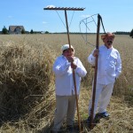 IV Mistrzostwa Polski w Koszeniu Zboża Metodą Tradycyjną