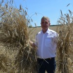 IV Mistrzostwa Polski w Koszeniu Zboża Metodą Tradycyjną