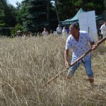 IV Mistrzostwa Polski w Koszeniu Zboża Metodą Tradycyjną