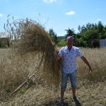 IV Mistrzostwa Polski w Koszeniu Zboża Metodą Tradycyjną