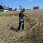 IV Mistrzostwa Polski w Koszeniu Zboża Metodą Tradycyjną