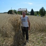 IV Mistrzostwa Polski w Koszeniu Zboża Metodą Tradycyjną