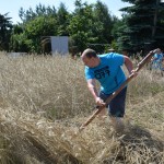 IV Mistrzostwa Polski w Koszeniu Zboża Metodą Tradycyjną