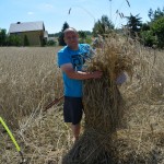 IV Mistrzostwa Polski w Koszeniu Zboża Metodą Tradycyjną