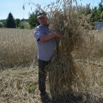 IV Mistrzostwa Polski w Koszeniu Zboża Metodą Tradycyjną