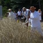 IV Mistrzostwa Polski w Koszeniu Zboża Metodą Tradycyjną