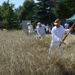 IV Mistrzostwa Polski w Koszeniu Zboża Metodą Tradycyjną