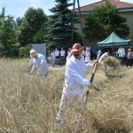 IV Mistrzostwa Polski w Koszeniu Zboża Metodą Tradycyjną