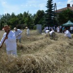 IV Mistrzostwa Polski w Koszeniu Zboża Metodą Tradycyjną