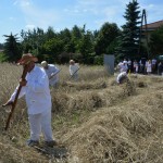 IV Mistrzostwa Polski w Koszeniu Zboża Metodą Tradycyjną