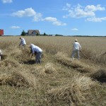 IV Mistrzostwa Polski w Koszeniu Zboża Metodą Tradycyjną