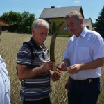 IV Mistrzostwa Polski w Koszeniu Zboża Metodą Tradycyjną